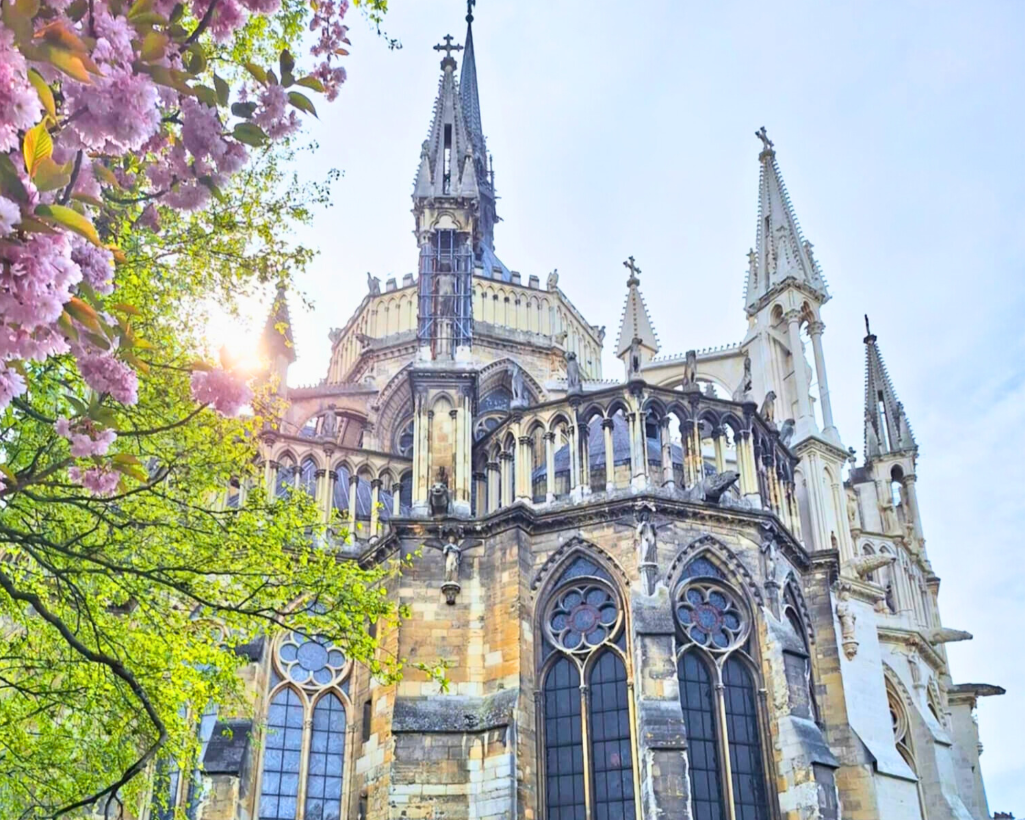 cathédrale notre-dame