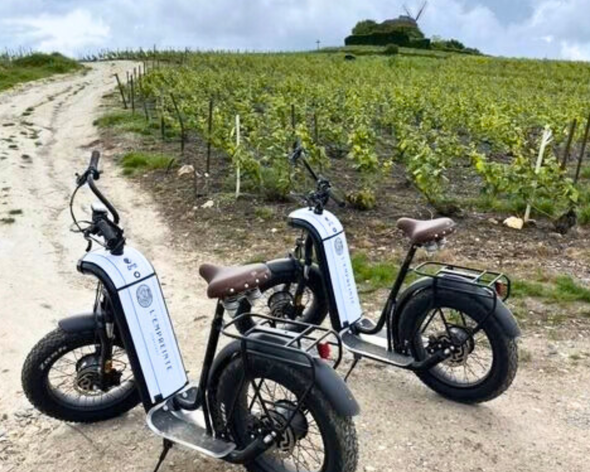 Expérience vélo électrique dans les vignes